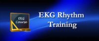 ECG Training Bundle SO