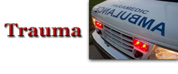 Read more about the article Vehicle Rollovers | Importance of EMS Re-assessment